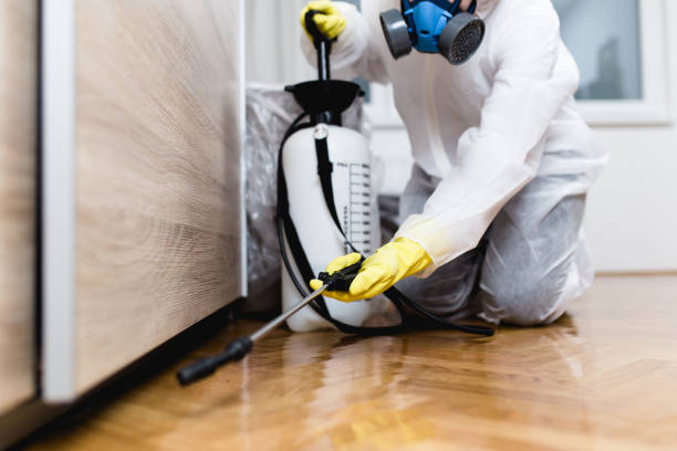 Best Bed Bug Extermination  in Crane, TX