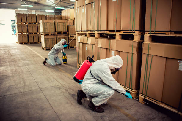 Best Pest Removal Services  in Crane, TX