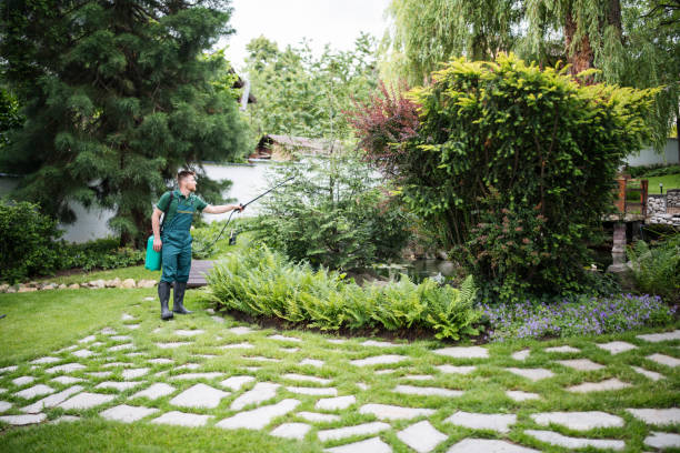 Best Pest Prevention Services  in Crane, TX