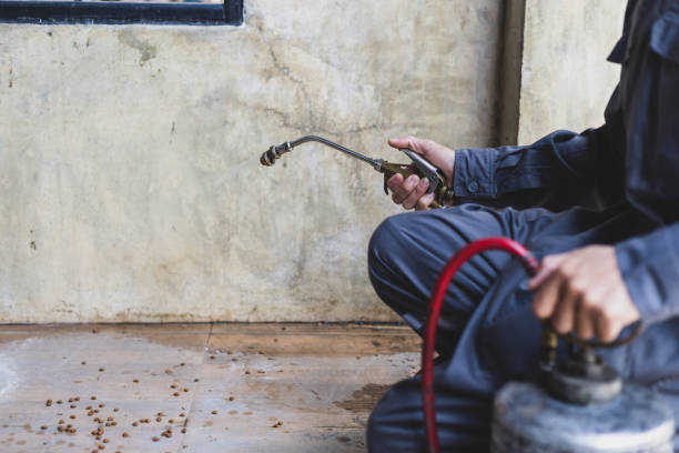Pest Prevention Services in Crane, TX